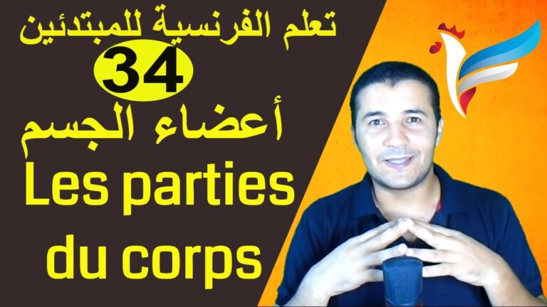 Les parties du corps