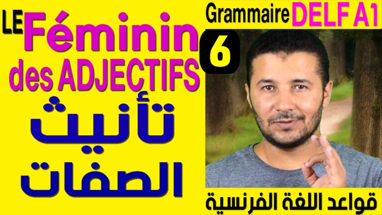 تأنيث الصفات - قواعد اللغة الفرنسية Grammaire DELF A1 - Le féminin des adjectifs