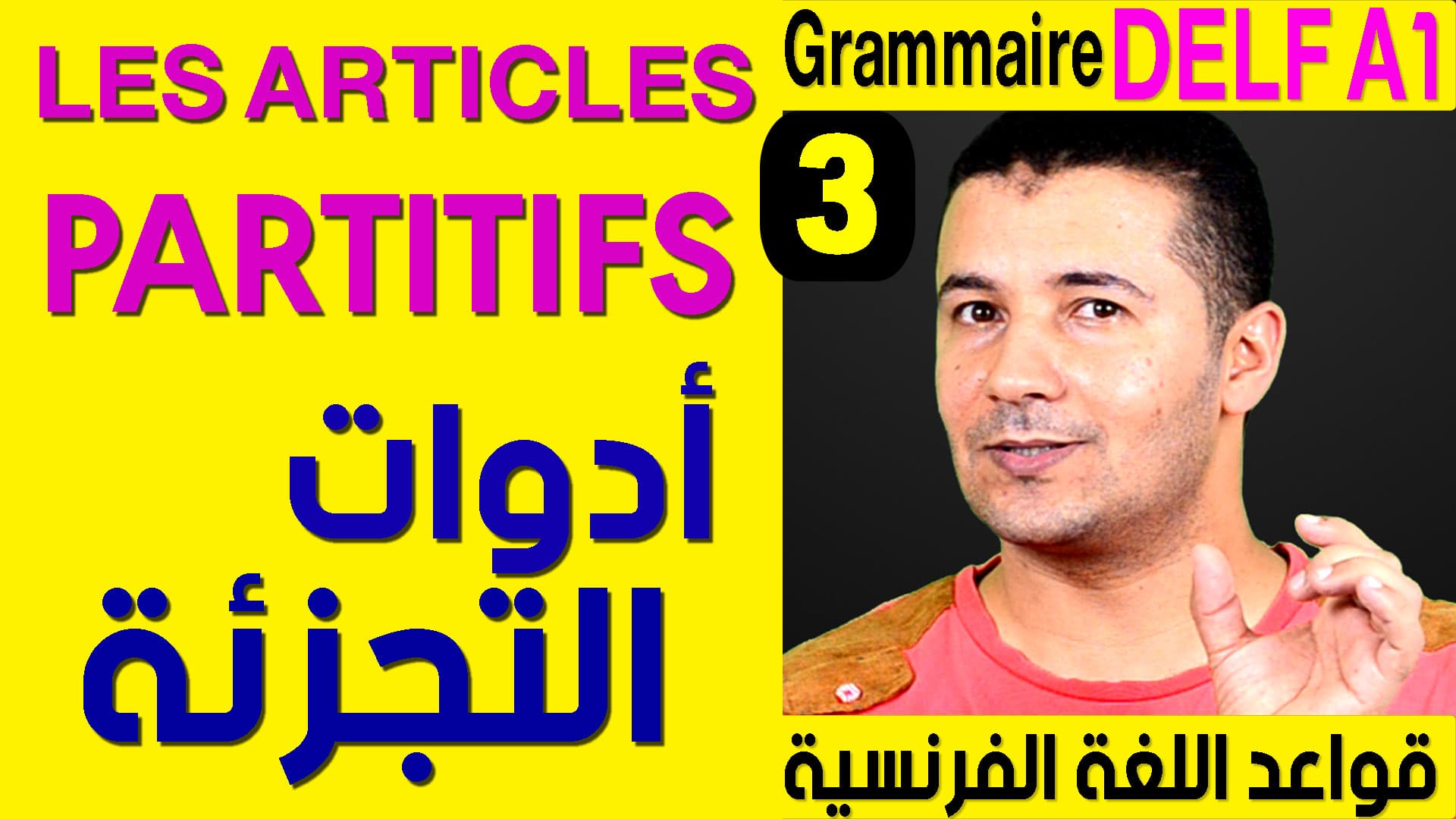الدرس (3) أدوات التجزئة قواعد اللغة الفرنسية Grammaire DELF A1 Les