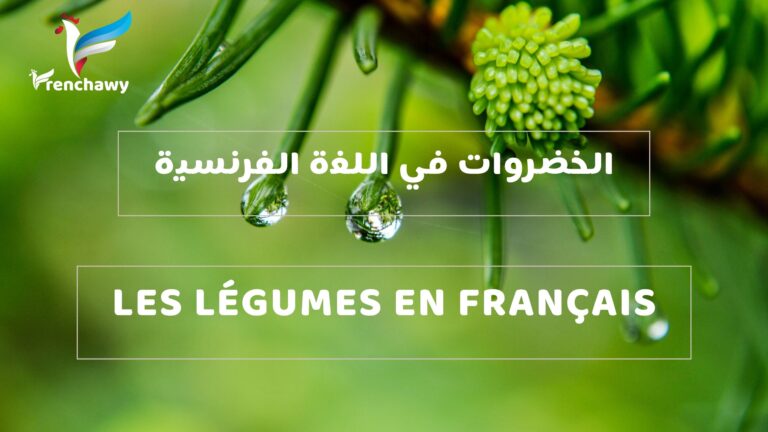 الخضروات في اللغة الفرنسية