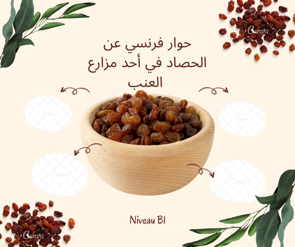 حوار فرنسي عن الحصاد في أحد مزارع العنب