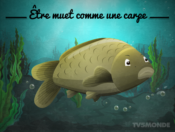 محادثة فرنسية حول تعبير فرنسي شهير