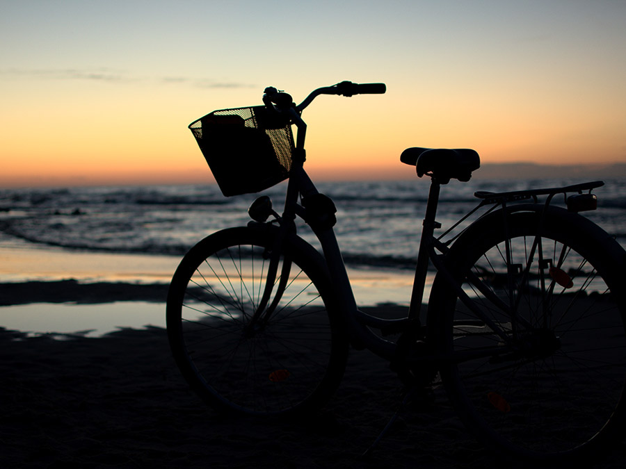 محادثة فرنسية في محل إيجار دراجات 