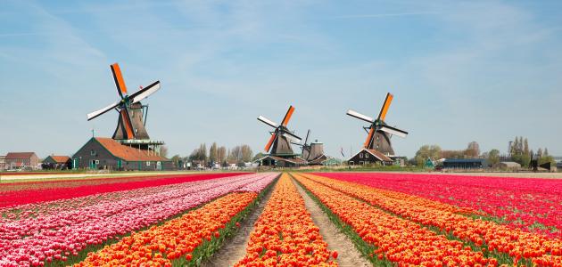 محادثة فرنسية حول إجازة سياحية في هولندا