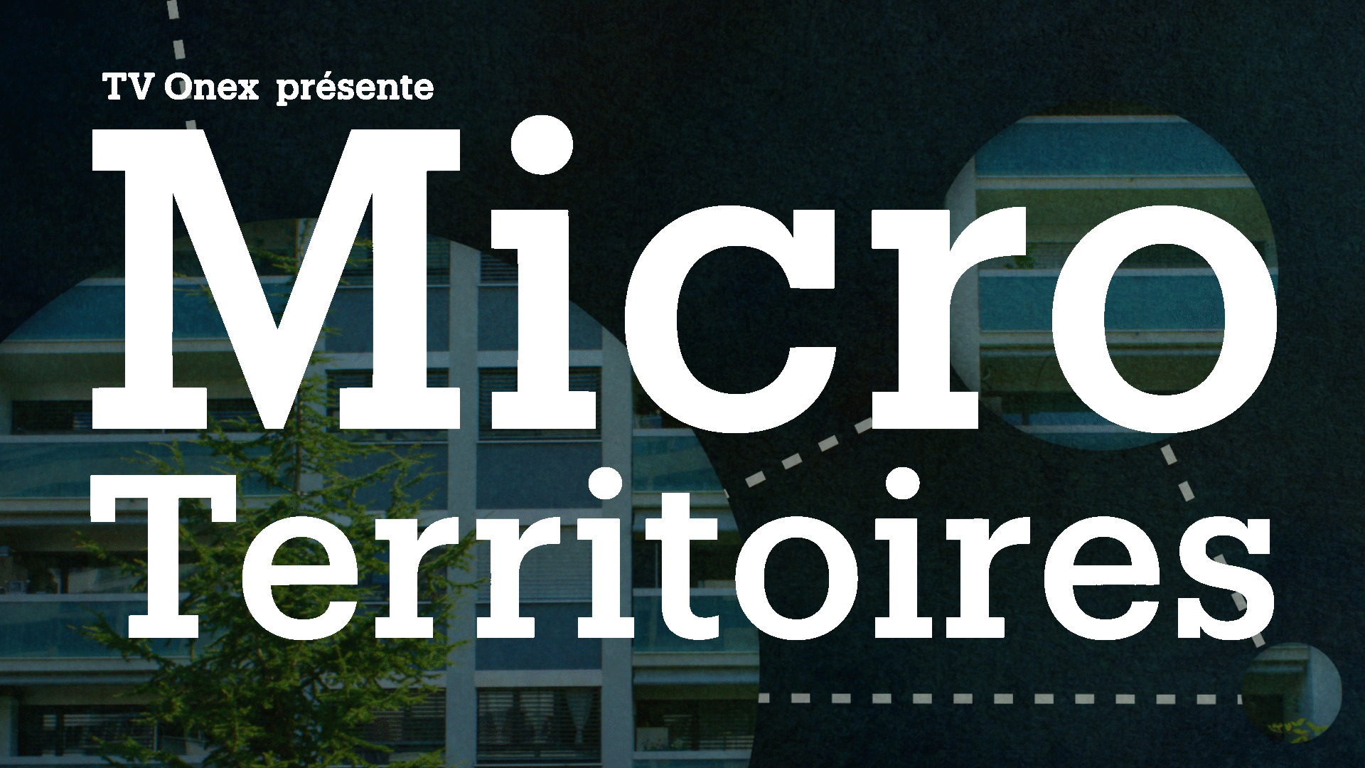 محادثة فرنسية حول استطلاع رأي في الشارع 1