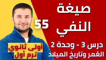 شرح صيغة النفي